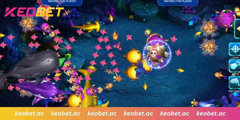 บริการสนับสนุนและการฝากถอนที่