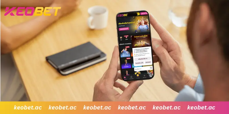 อินเทอร์เฟซใช้งานง่าย รองรับทุกอุปกรณ์