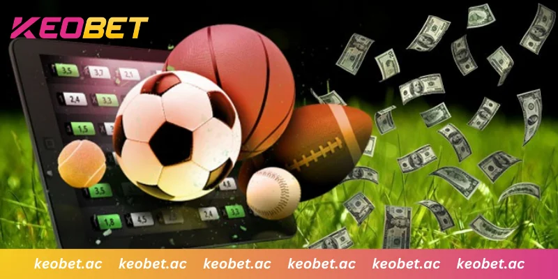 ขั้นตอนการวางเดิมพัน 1x2 สำหรับมือใหม่