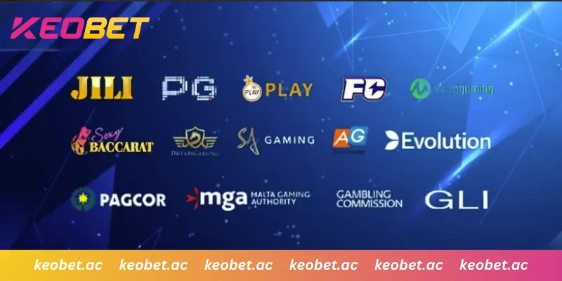 พันธมิตรและใบอนุญาตระดับสากล